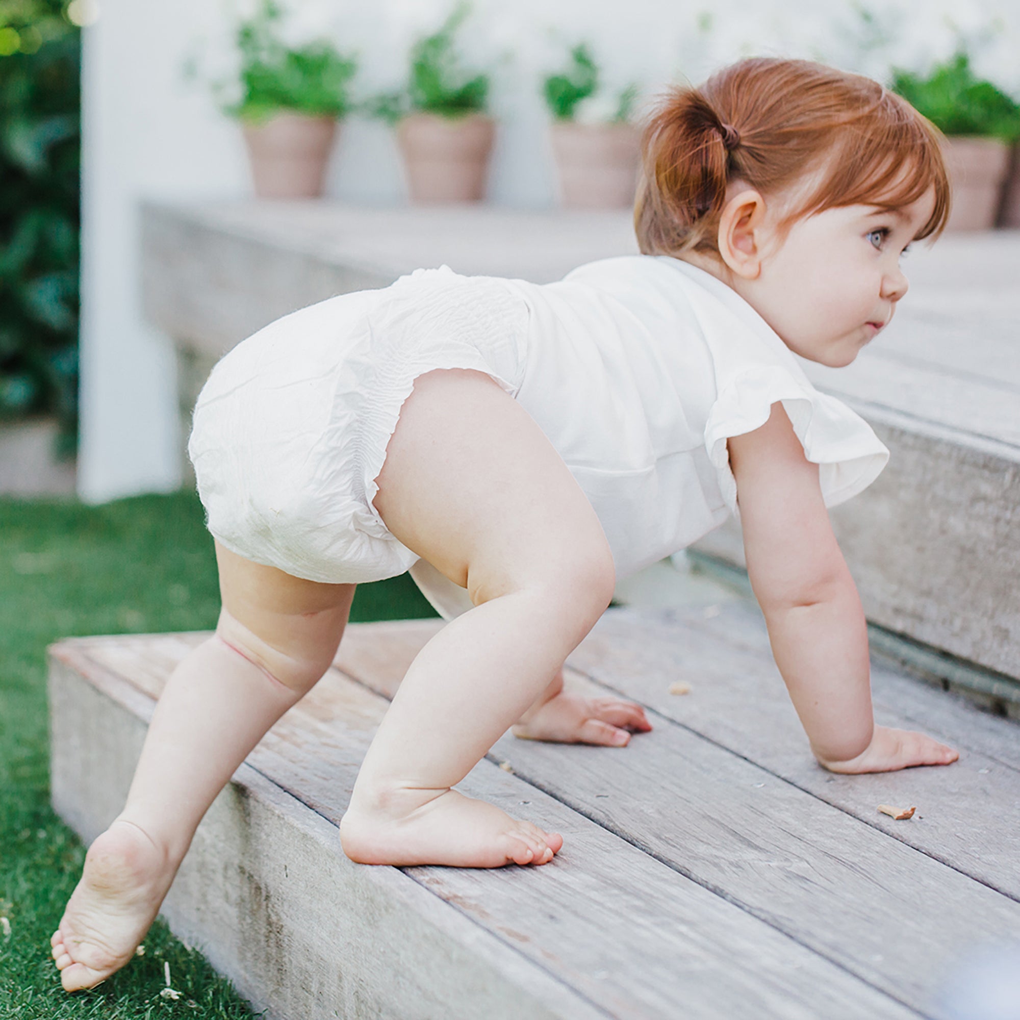 Newborn Diapers, Non-Toxic Diapers Plant-Based Diapers – Terra
