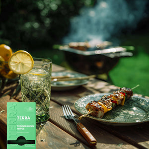 Terra Dishwashing Wipes TERRA NZ