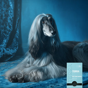 Terra Pet Ear Wipes TERRA NZ