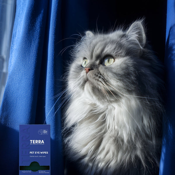 TERRA Pet Eye Wipes 30s x 6 TERRA NZ