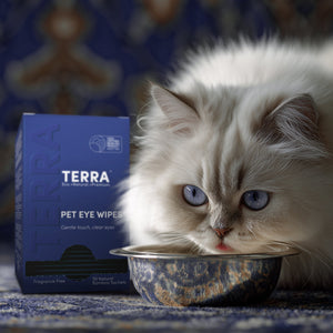 TERRA Pet Eye Wipes 30s x 6 TERRA NZ